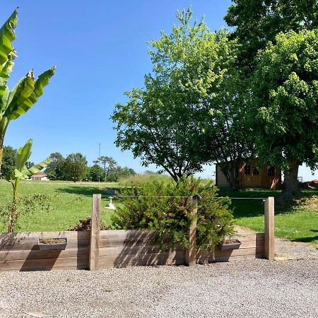 Le Domaine De Darracq Hotel Arsagne Eksteriør billede
